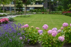 Tuin-Mariaplein