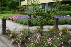 Tuin-Mariaplein