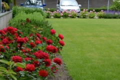 Tuin-Mariaplein