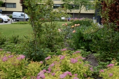 Tuin-Mariaplein