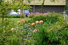 Tuin-Mariaplein