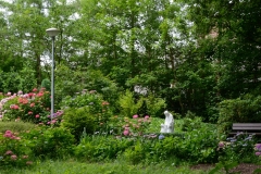 Tuin-Mariaplein