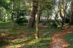 Tuin-Mariaplein