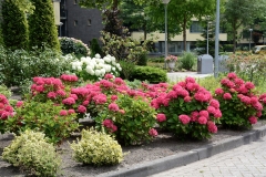 Tuin-Mariaplein
