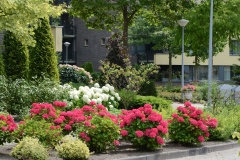 Tuin-Mariaplein