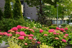 Tuin-Mariaplein