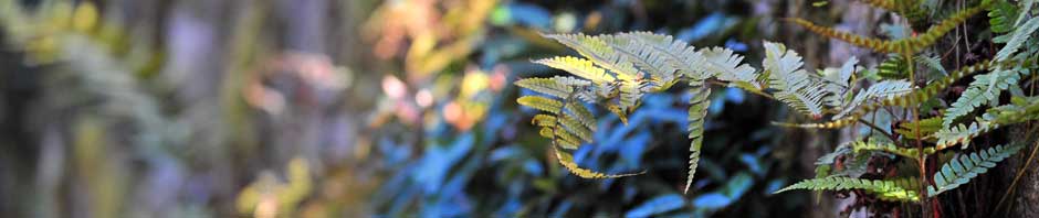 Wooncomplex Van Gilsepark